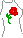 grayc36